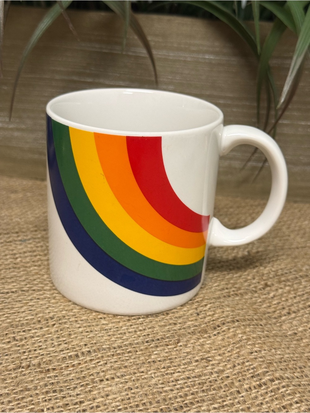 Rainbow mug from F T D